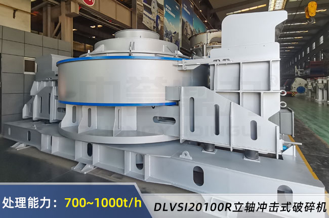 DLVSI20100R����C