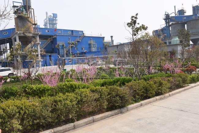 ���@ʽɰʯ�������a��